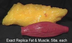 fat-loss-vs-muscle-loss2